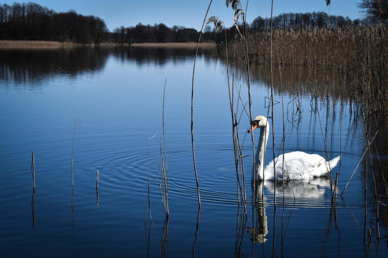 Pokoje Lotnik Nad Jeziorem Mrągowo Eksteriør bilde